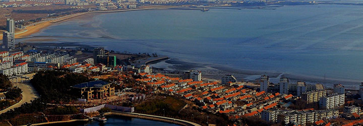 手机版公司简介频道背景图